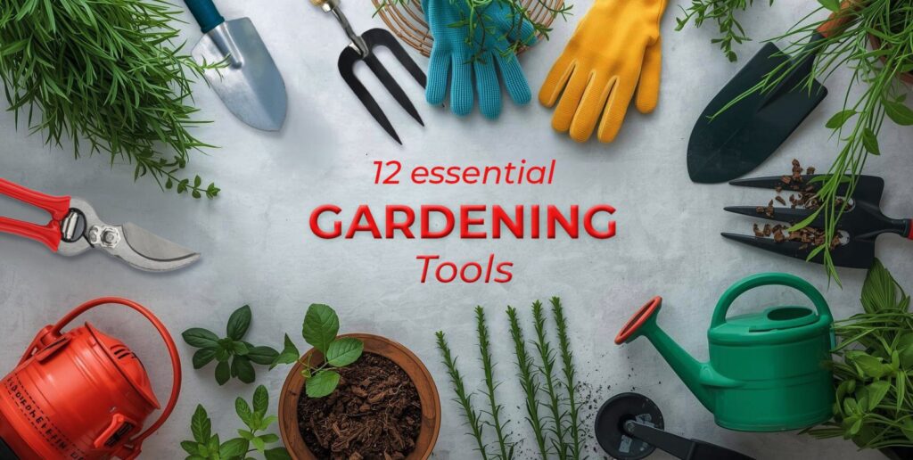 Banner for 12 Essential Gardening Tools