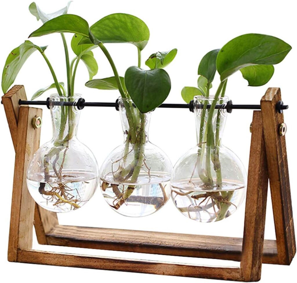 Air Planter Bulb Glass Vase