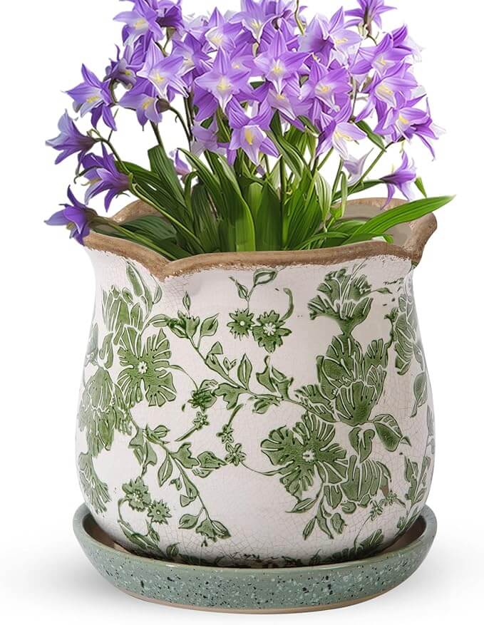 Ceramic Planters for Indoor Plants