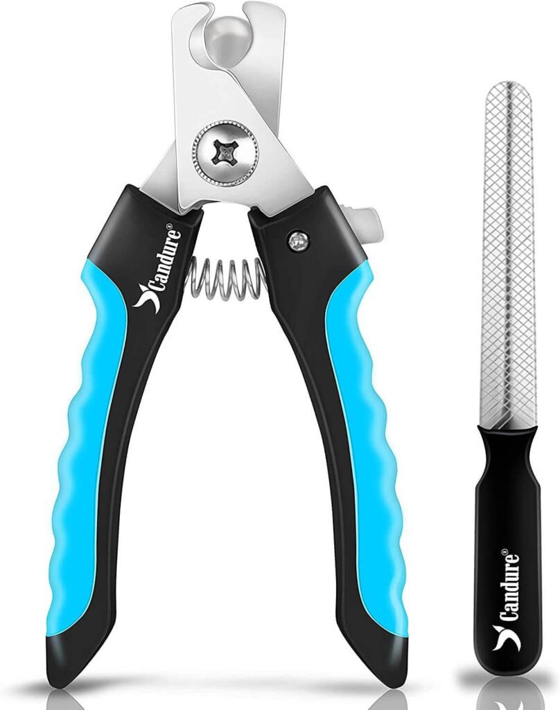 Dog Nail Clippers Pet Essentials That Make Life Easier for You and Your Pet (Practical Everyday Must-Haves)