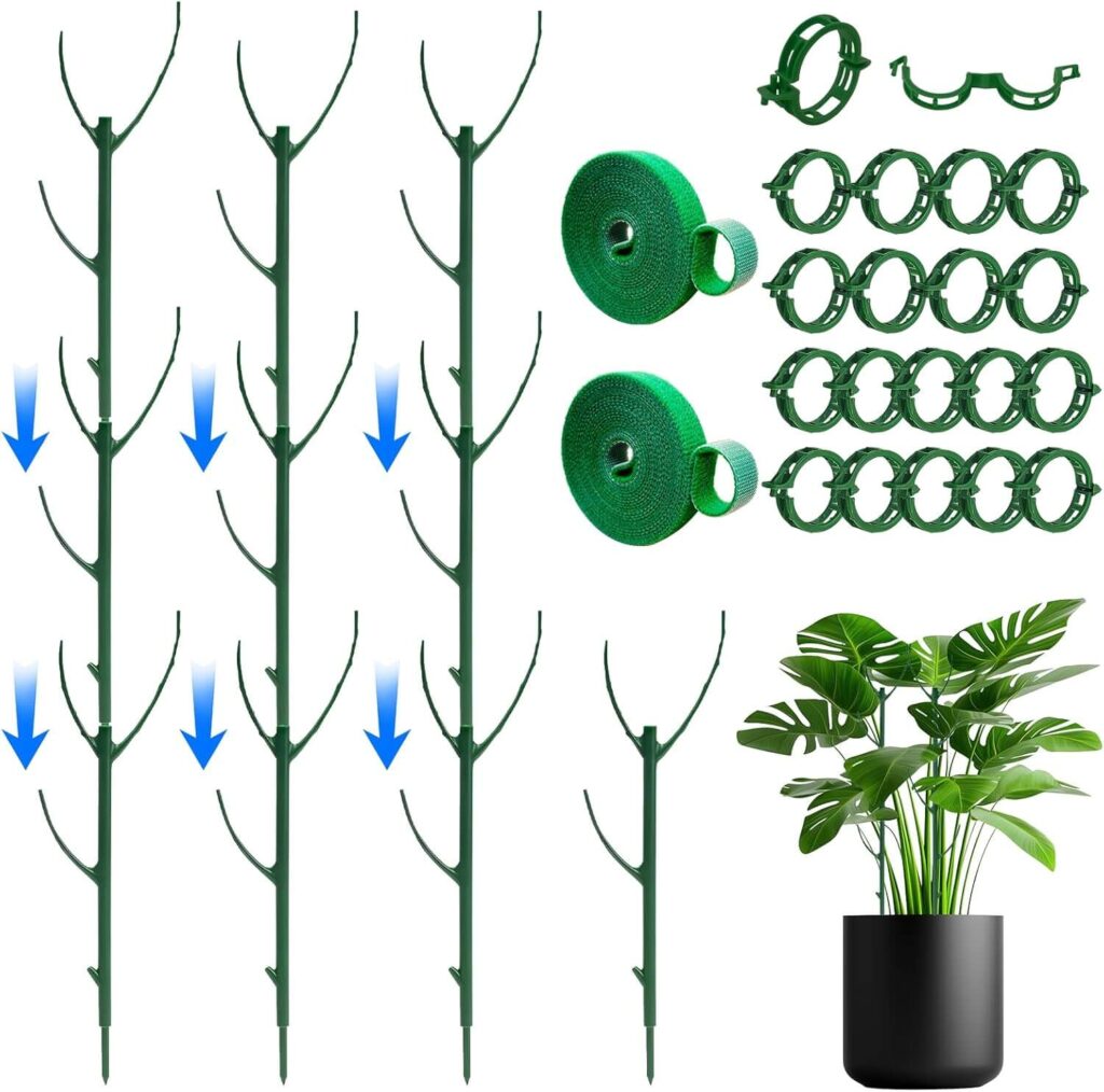 Monstera Plant Support Stakes