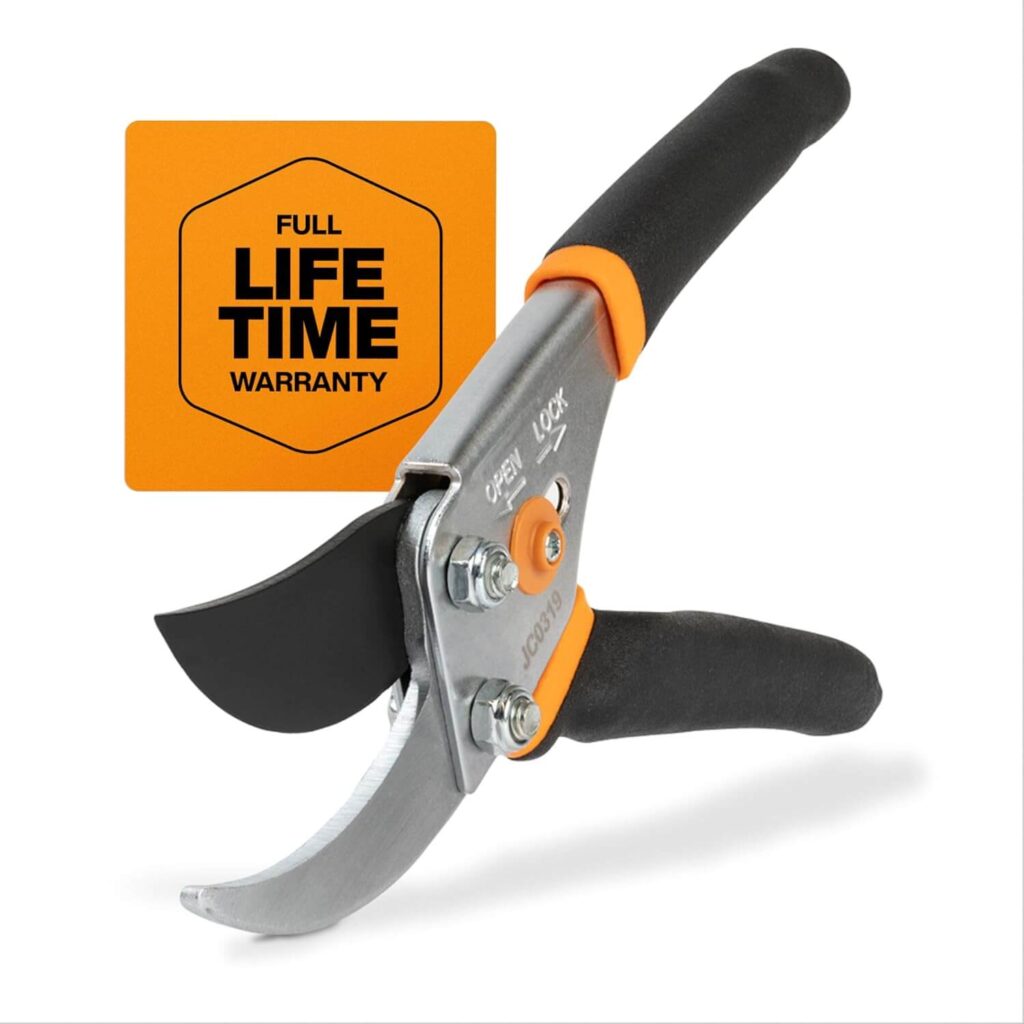 Pruning Shears on a white background