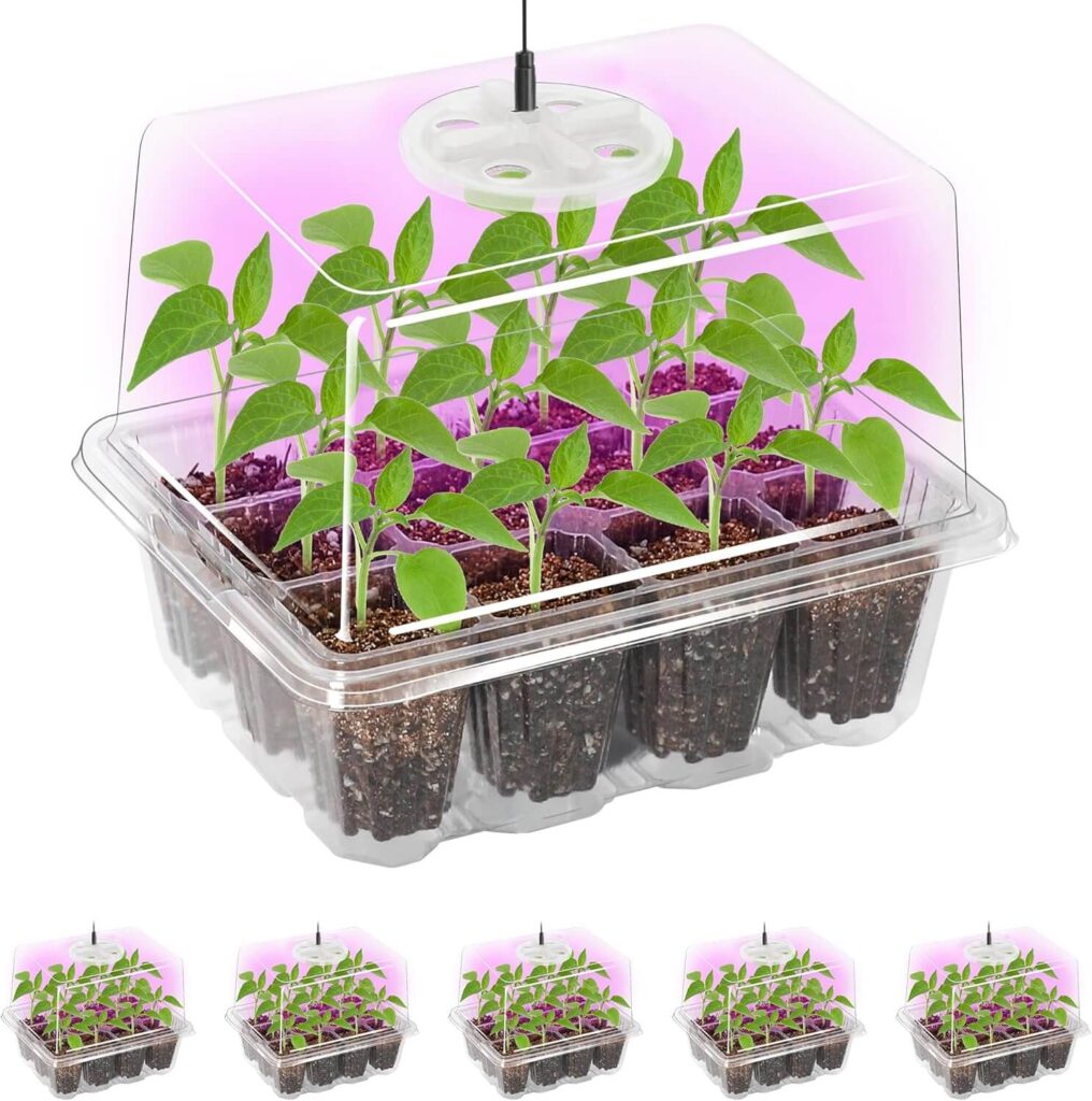 Seed Starter Tray with lighting